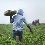 Return to Sender: Trump's Deportations Complicate Relationship Between Migrants and Their Home Countries