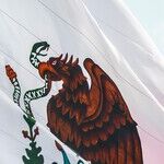 How Rubio Ruined Ethnic Pride for Me