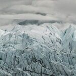 The ICE Age Threatens to Make America's Values Extinct