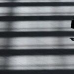 Bovino Is a Failed Leader -- But Also the Fall Guy for Immigration Debacle