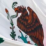 Some Mexican Americans Are Choosing Mexico. But Can They Really Go Home Again?