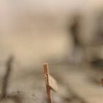 Do I Have Buyer's Remorse Over Backing War With Iran? Not Yet