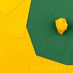 With Trump and Iran, What We Have Here Is a Failure to Communicate