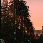 The Englishman Who Wants to Remake California