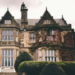 The Dream Monstrosity