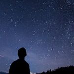 Stars of an Arabian Night