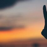 When Seeking Peace, Don't Release the Dogs of War