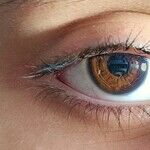 Sarcastic Wit Carries Too High a Cost