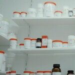 The Wonder Drug Delusion: Aging With Strength Isn't About Technology