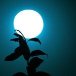 Building a Nighttime Routine for Greater Longevity