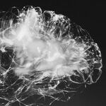 Lifting Weights Makes Your Brain Look Younger