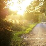 Walking: Why America's Favorite Exercise Isn't Enough