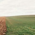 The Age of Dichotomy Is Tearing Up America