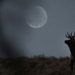 Under the Hunter's Moon