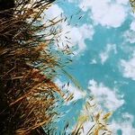 Closing Reflections on Libra Season