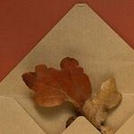 Mercury's Message From Sagittarius