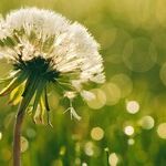 Planets of Potentiality