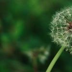 Solar Transit to First Earth Sign