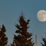 How Blue the Moon