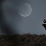 Under the Hunter's Moon