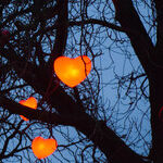 Heavenly Hearts Week