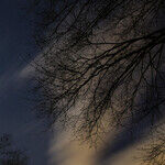 Jupiter and Pluto Excitement
