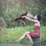 Happy Year of the Fire Rooster