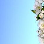Happy Beltane!