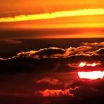 Mother Sun's Last Days