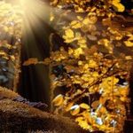 Hopeful Rays of Sagittarius Sun