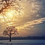 Dawn of the Aries Sun