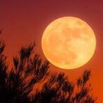 Harvest Moon Cosmic Caveat
