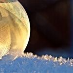 Week of the Winter Solstice