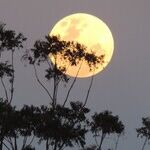 Oxymoron Supermoon