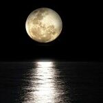 Moon Full of Feeling