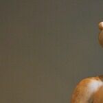 Mercury Holds for Election Day