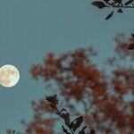 No-Drama Moon