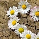 Mercury Retrogrades in the Sign of Relationships