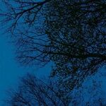 Venus and the Transformation Moon