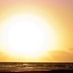 Scorpio Solar Journey Check-in