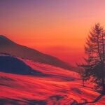 Happy Solstice
