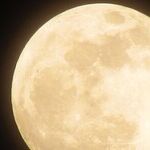 Full Moon Friday