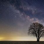 Comforts from Venus and Neptune