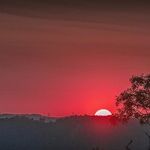 Happy Summer Solstice