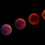 Red Moon and Late Blooms