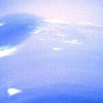 A Reversal of Neptune