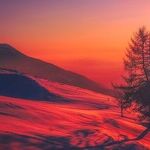 Sentimental Solstice