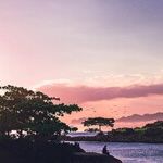 New Moon, New You