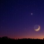 The Maternal Side of Venus