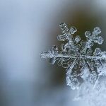 On the Week of the Winter Solstice